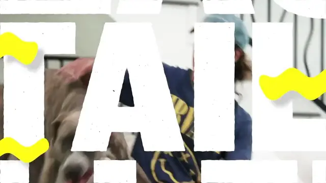 'Video thumbnail for 2HYPE’s ZackTTG Talks NBA GOATs With A Harlem Globetrotter! | ft. Bree Green'