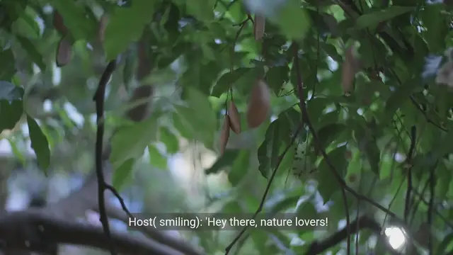 Video thumbnail for How to Keep Birds Out of Trees - Simple Tips and Tricks