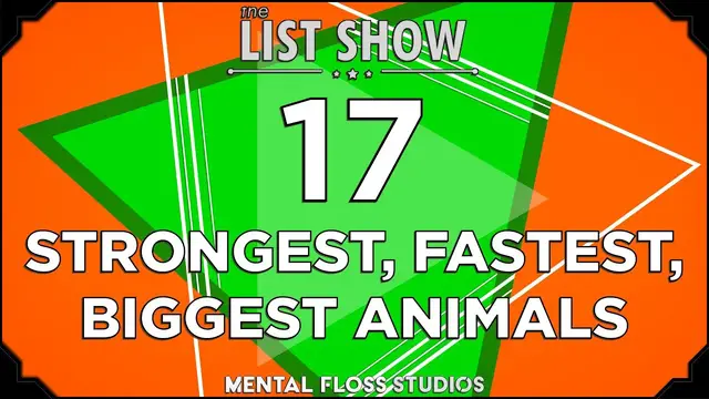 Video thumbnail for 17 Wild Animal Superlatives | Mental Floss
