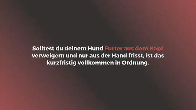 Video thumbnail for Hund frisst nur aus der Hand: 7 Ursachen & Lösungen (2022)