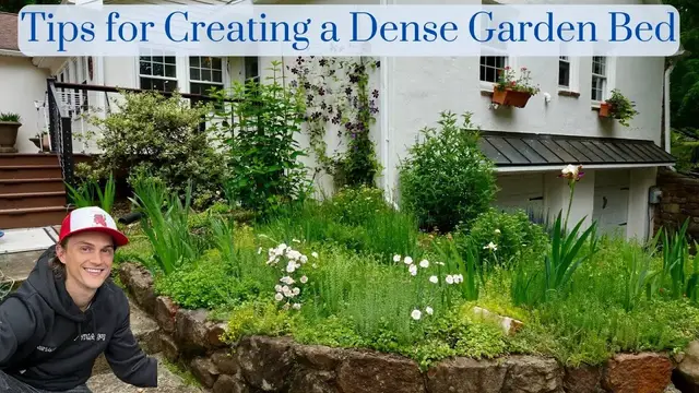 Video thumbnail for Tips for a Dense Low Maintenance Garden Bed - No Mulch & Less Weeds - Perennial Plants