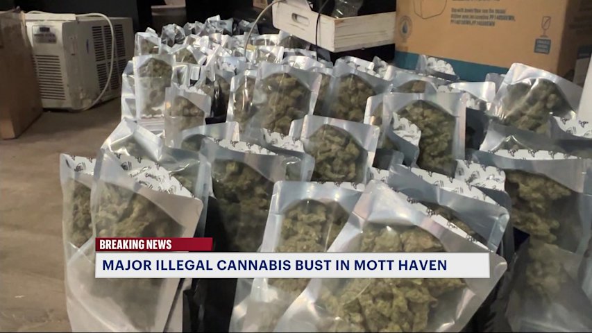 Video thumbnail for Illegal Mott Haven cannabis shop raided for a third time