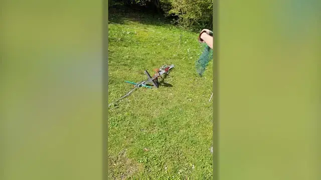 Video thumbnail for Kind-Hearted Passersby Save Squirrel Trapped In Discarded Net | Wild-ish TV