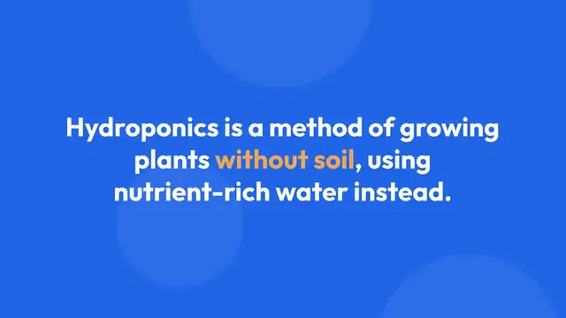 Video thumbnail for Vertical Gardening for Hydroponics Beginners