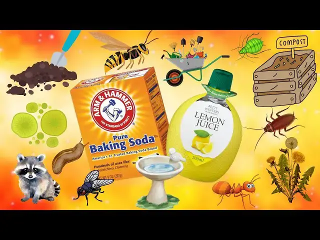 'Video thumbnail for Baking Soda & Lemon Juice Uses -13 Genius Garden Hacks & Pest Control – You’ll Wish You Knew Sooner!'