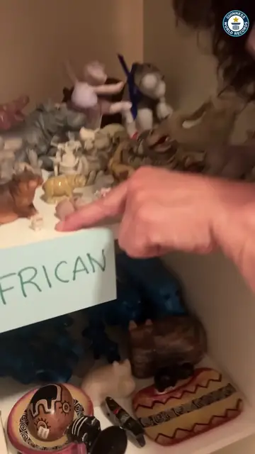 Video thumbnail for Largest collection of hippopotamus related items - 1,068 items held by Sheri Lynch