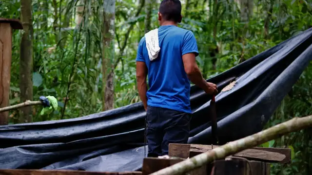 Video thumbnail for Coca production in Colombia: Coca crop shift faces uncertain future after election