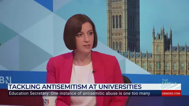 'Video thumbnail for 'Just because you can, doesn't mean you have to!' Labour Minister gives verdict on October 7 protests'