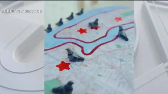 'Video thumbnail for NYC dispensary launches cannabis carrier pigeon program'
