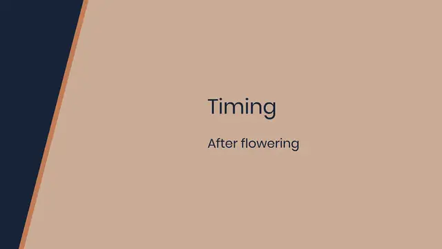 Video thumbnail for Snowmound Spirea Pruning Tips