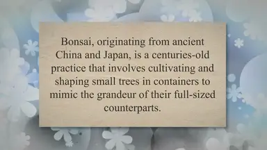 'Video thumbnail for Unveiling the Enchanting World of Bonsai Styling: Crafting Nature's Miniature Masterpieces'