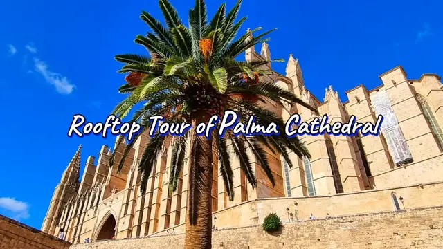 Video thumbnail for Palma Cathedral Rooftop Tour