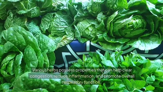 Video thumbnail for Herbs That Boost Lung Health