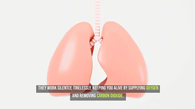 Video thumbnail for Basics of How Your Lungs Work