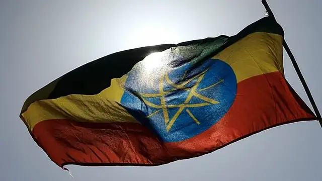 Video thumbnail for Ethiopia appoints interim Tigray government after TPLF ouster