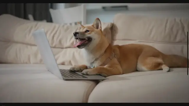 Video thumbnail for Remote Video Editing Jobs: A Guide to Crafting Visual Stories and Income