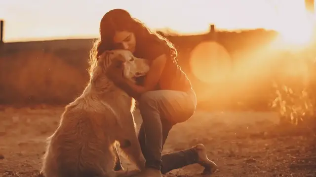 'Video thumbnail for Decoding Dog Body Language - Key Signals to Understand Your Pet'