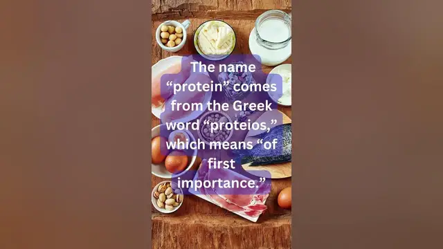 Video thumbnail for Fun Facts About Protein That Will Make You Think Twice #facts #funfacts #protein #shortsvideo