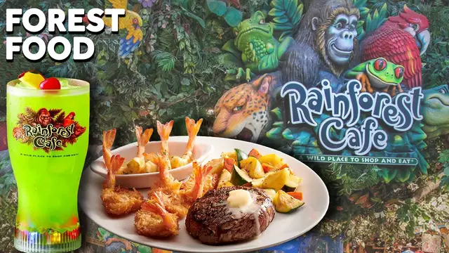 Video thumbnail for The decline of Rainforest Cafe: A look at its journey and closure
