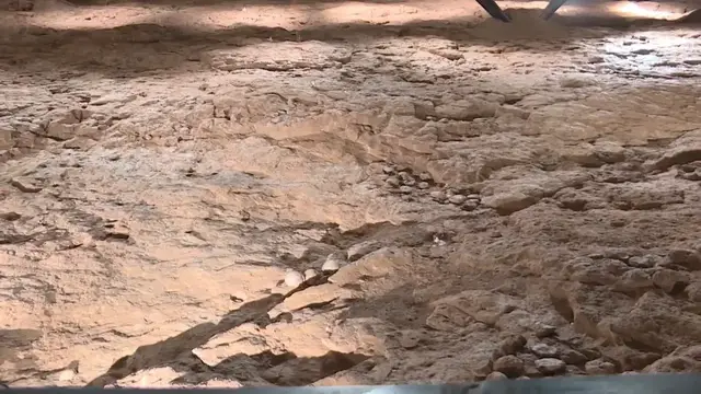 Video thumbnail for China: Hubei dinosaur egg site undergoes non-invasive 'heart checkup' scan.