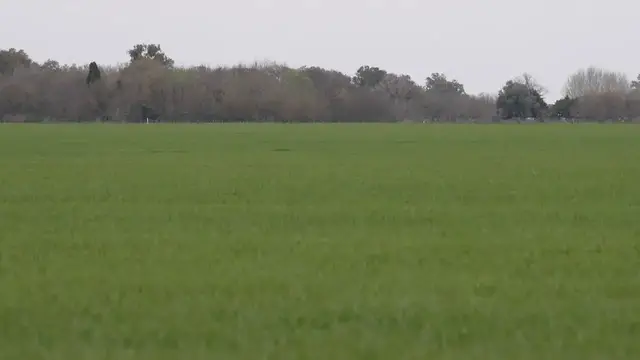 Video thumbnail for Argentina: El Nino threatens Argentina's farm belt as flood control projects stall.