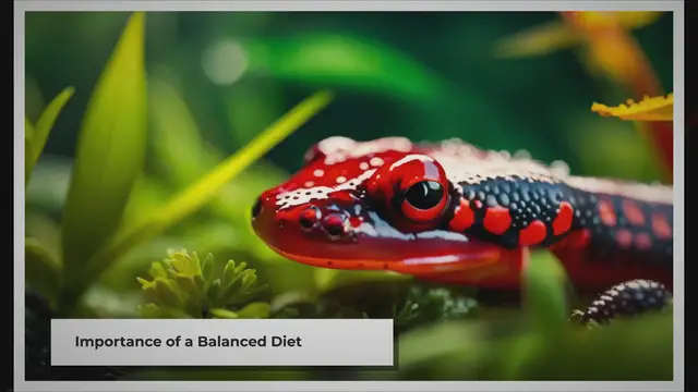 Video thumbnail for Feeding Your Pet Salamander: A Quick Guide
