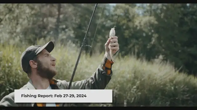 Video thumbnail for Salmon: Upper Salmon River Steelhead Fishing Report (02-27-28-29-2024)