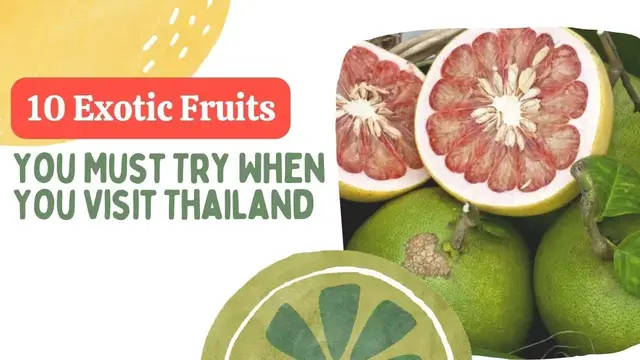 Video thumbnail for 10 Exotic Fruits You Must Try When You Visit Thailand