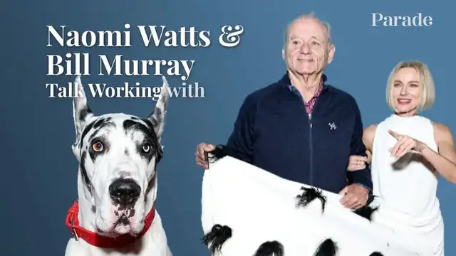 'Video thumbnail for Bill Murray & Naomi Watts Worked with a Very Unprofessional Dog'