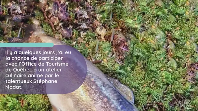 Video thumbnail for Suvalik, une mayonnaise aux oeufs de poisson (et tartare)