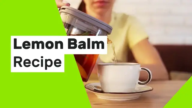 'Video thumbnail for Lemon balm recipe '