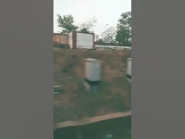 Video thumbnail for Asli maza safar ka hai .... Manzil to sabhi jante hai #shortsfeed #ytshorts