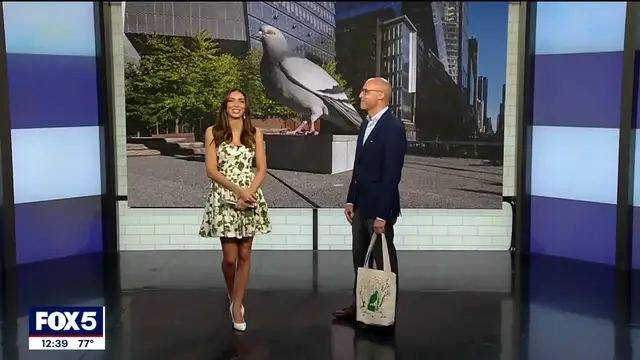 Video thumbnail for Pigeon Fest crew coos it up on Good Day New York