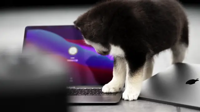 'Video thumbnail for Unboxing The 2020 M1 MacBook Air vs MacBook Pro'