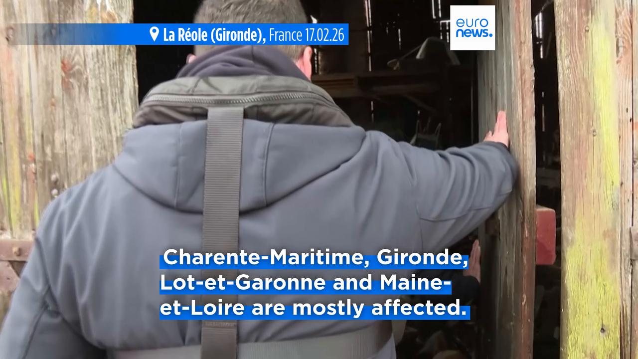 Video thumbnail for Four French departments remain on red alert as Storm Pedro brings more flooding