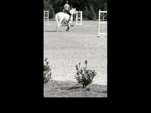 Video thumbnail for BOLERO FLYINGGGG OVER DA MOOON 🌕