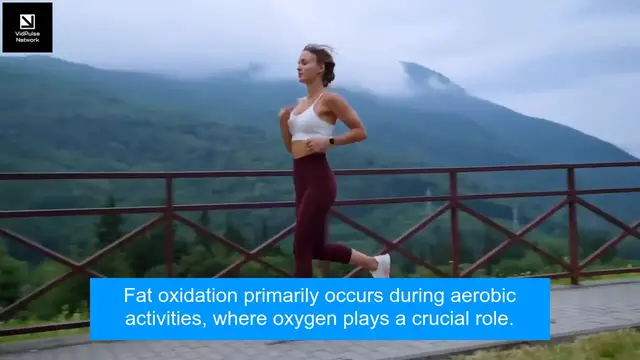 Video thumbnail for Blast Belly Fat Fast: Try These 6 Simple Exercises for a Slimmer You in One Month!