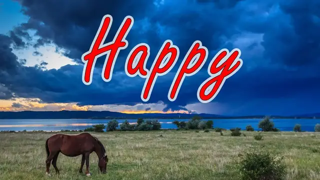 'Video thumbnail for Top 10 Happiest Cities in the United States'