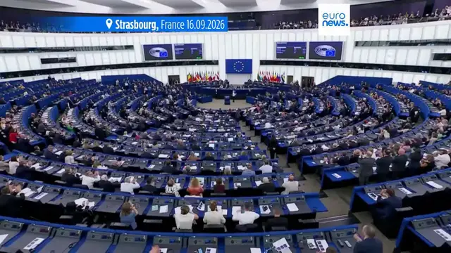 Video thumbnail for EU-Canada 'love story' needs more than warm words, senior MEP warns