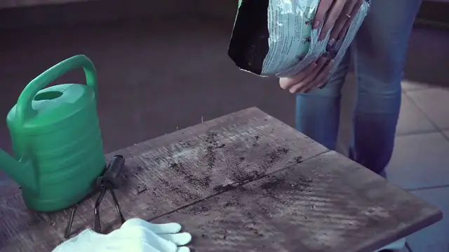 Video thumbnail for How to Grow Marigolds