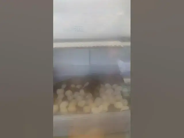Video thumbnail for Silkie Chicks Hatching In New Incubator #Shorts