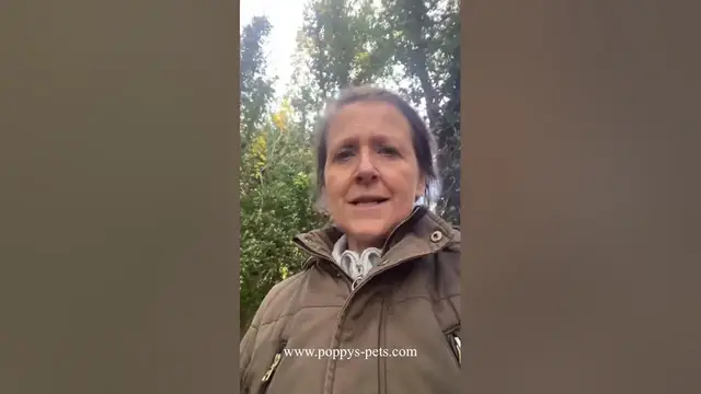 Video thumbnail for Ep 3: Domestic Abuse - Abusers Will Adopt Pets From a Rescue Centre For the Wrong Reason