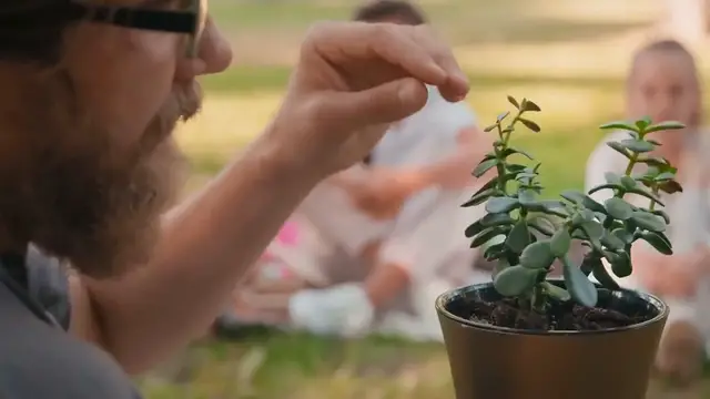 Video thumbnail for How to Care for Succulents in Winter
