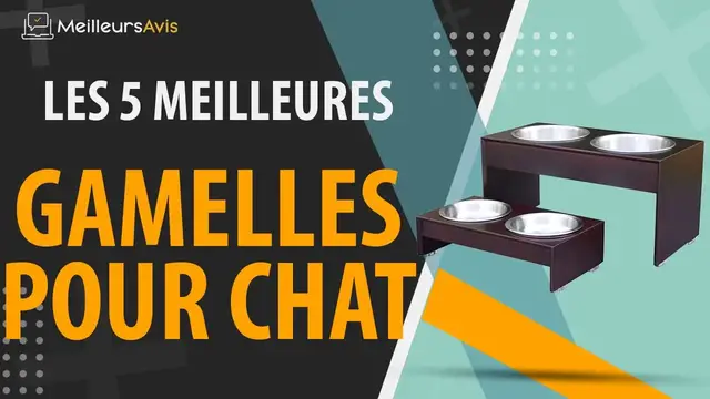 Video thumbnail for ⭐️ MEILLEURE GAMELLE POUR CHAT - Avis & Guide d'achat (Comparatif 2021)