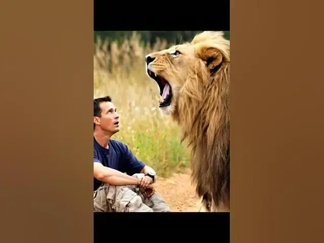 Video thumbnail for #wild #lion