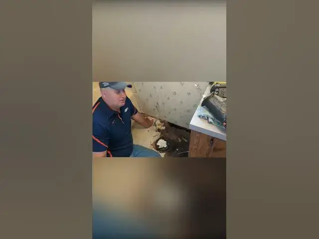 Video thumbnail for Black Mold In House Problem If Allergic #Shorts