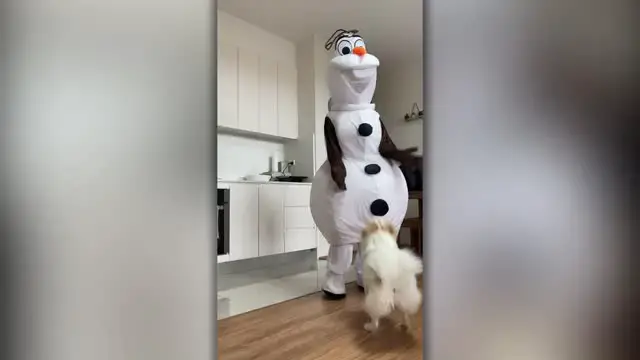 Video thumbnail for Dog Called Elsa Who Loves Olaf Comfort Toy Surprised By Life-Size Olaf | Wild-ish TV