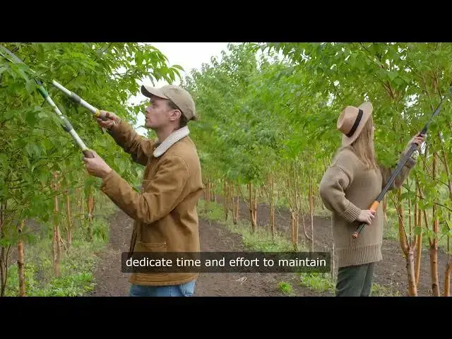 Video thumbnail for Fruit Trees Grow In Zone 6B