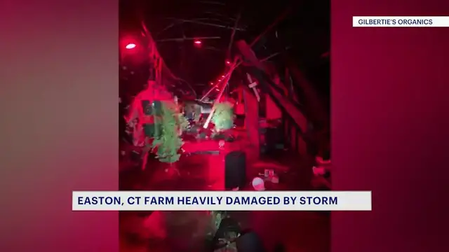 Video thumbnail for 'We're going to rebuild.' Easton farm heavily damaged by storm