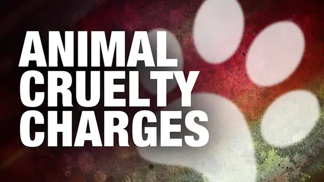 Video thumbnail for Central Islip woman charged after allegedly using shattered glass to deter animals in apartment complex